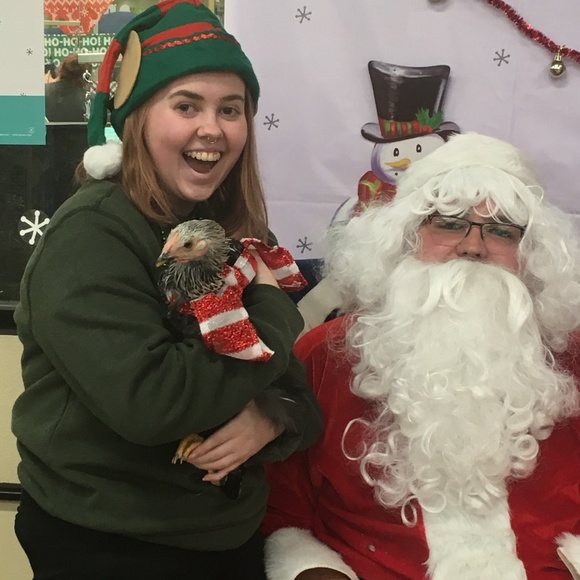 Meet your Posher, Ayla - Picture 2 of 3